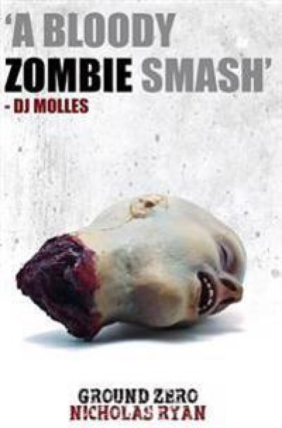 Ground Zero: A Zombie Apocalypse