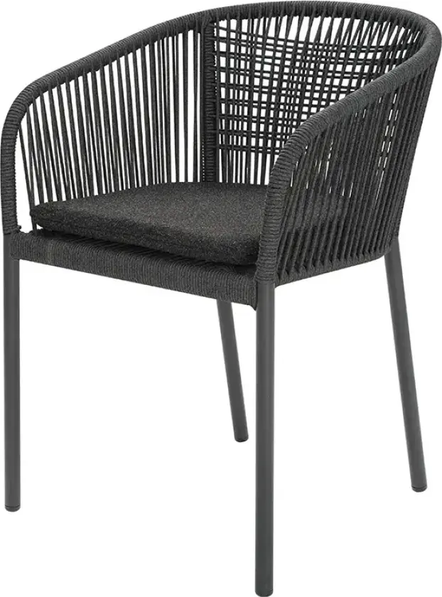 Delta stol Antrasitt / Slate Rope / Teddy Black