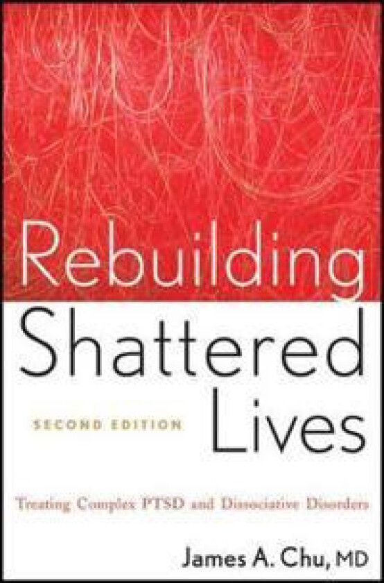 Rebuilding Shattered Lives