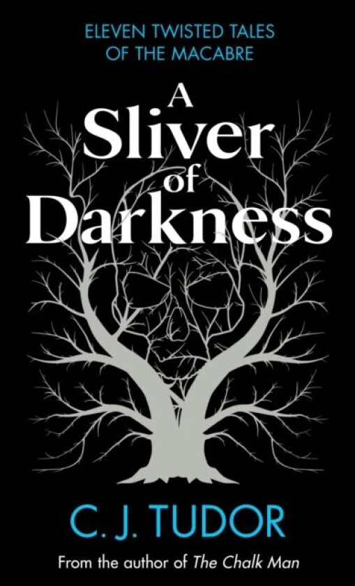 A Sliver of Darkness av C. J. Tudor