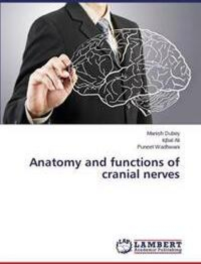 Anatomy and Functions of Cranial Nerves