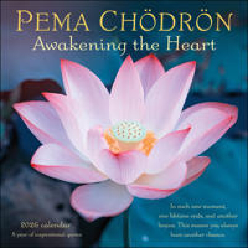 Pema Chödrön 2026 Wall Calendar
