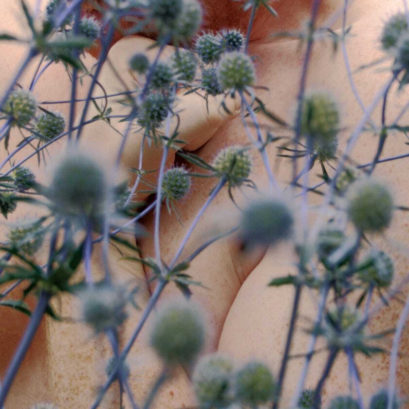 Dale Cornish Altruism CD