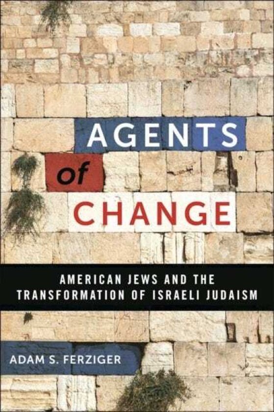 Agents of Change American Jews and the Transformation of Israeli Judaism