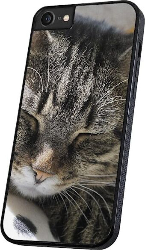 iPhone 16e - Deksel/Mobildeksel Sovende Katt