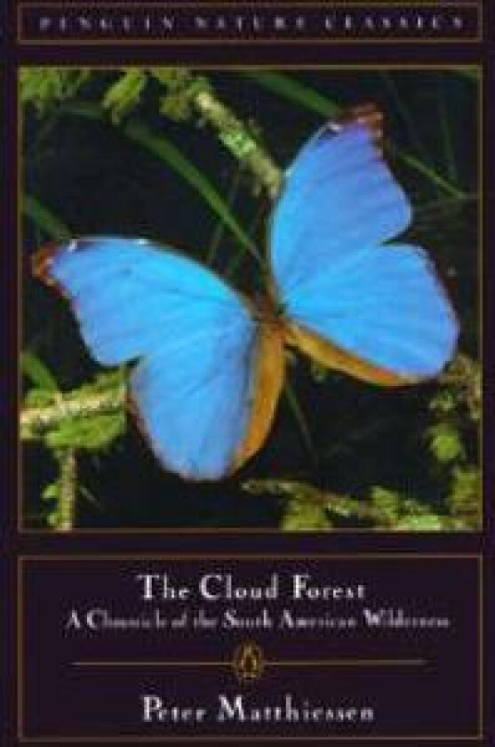 The Cloud Forest