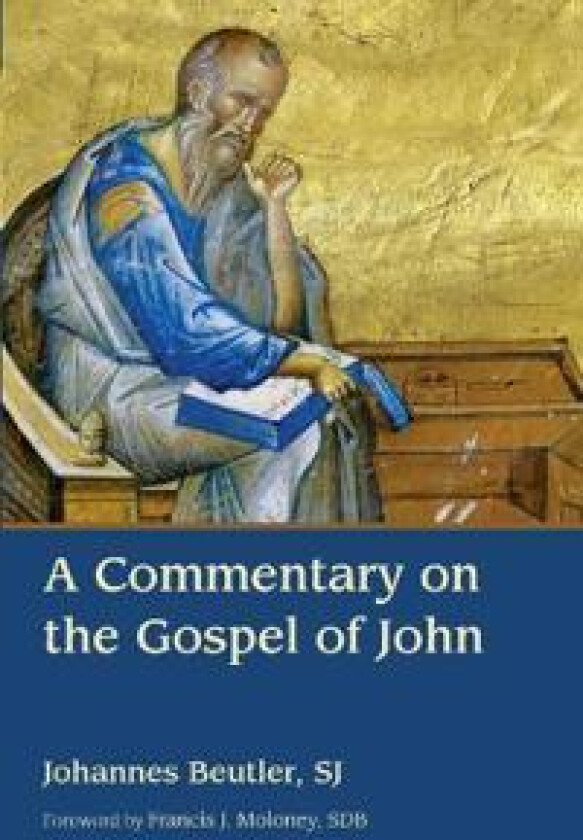 A Commentary on the Gospel of John