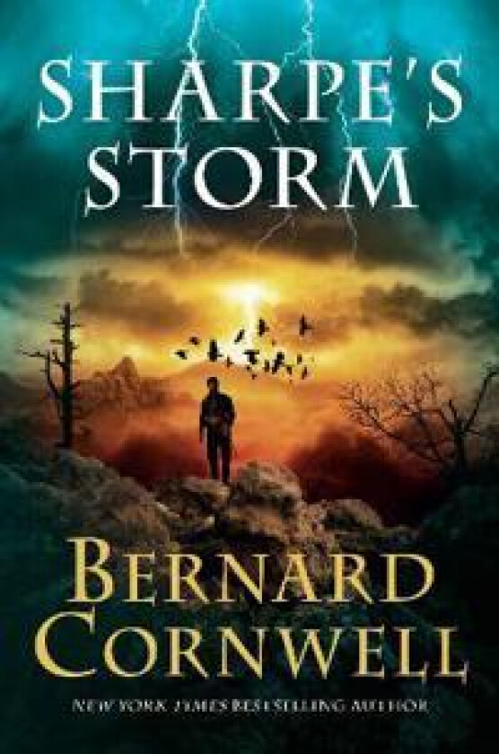 Sharpe's Storm: Richard Sharpe and the Invasion of Southern France, 1813
