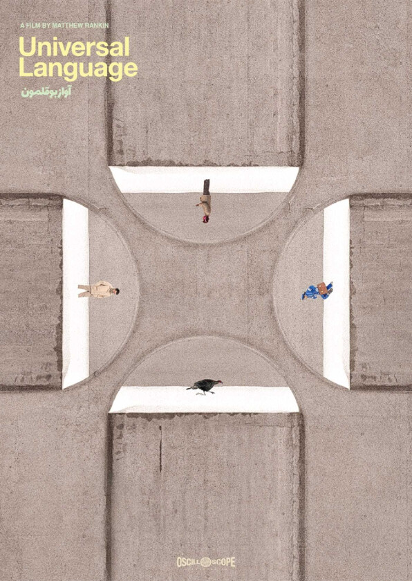 Universal Language (2024) DVD