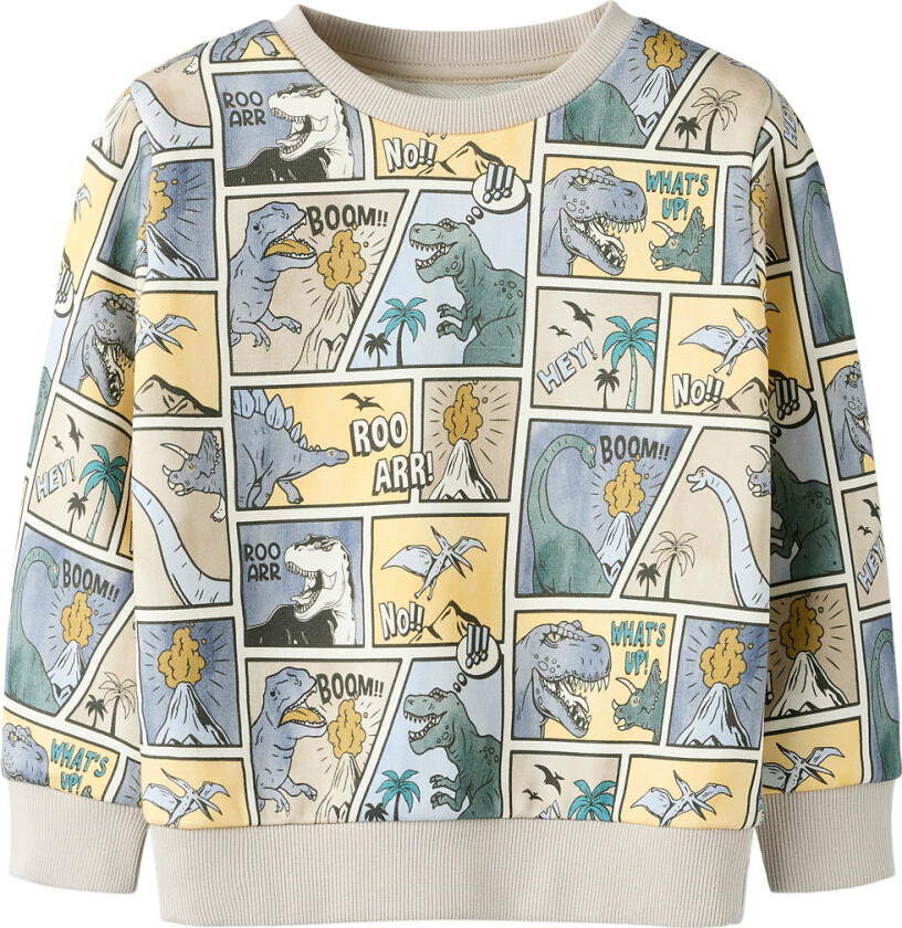 Collegegenser - NmmSikalas - Peyote - - 4 år (104) - Collegegenser