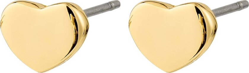 ARIN øredobber gullbelagt