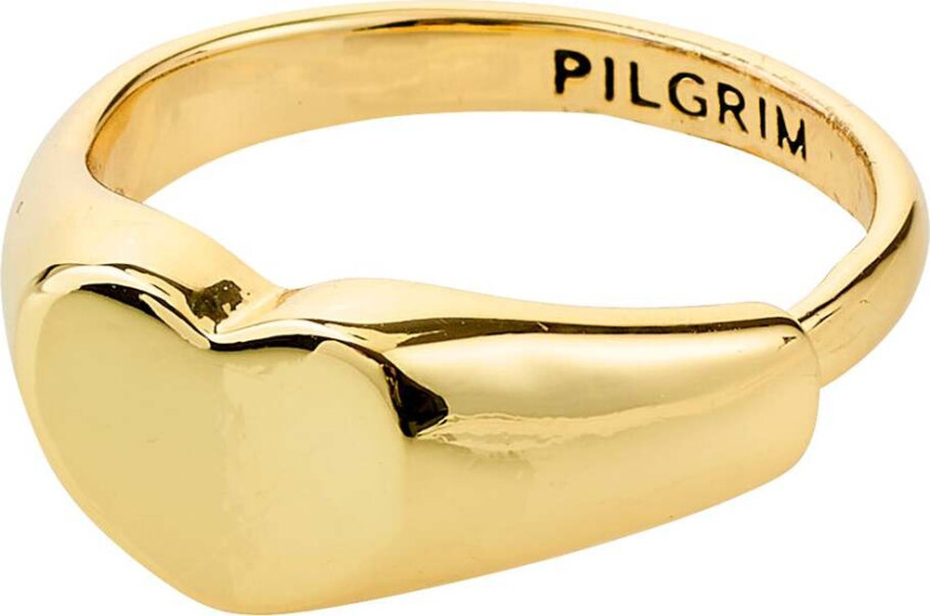 ARIN ring gullbelagt