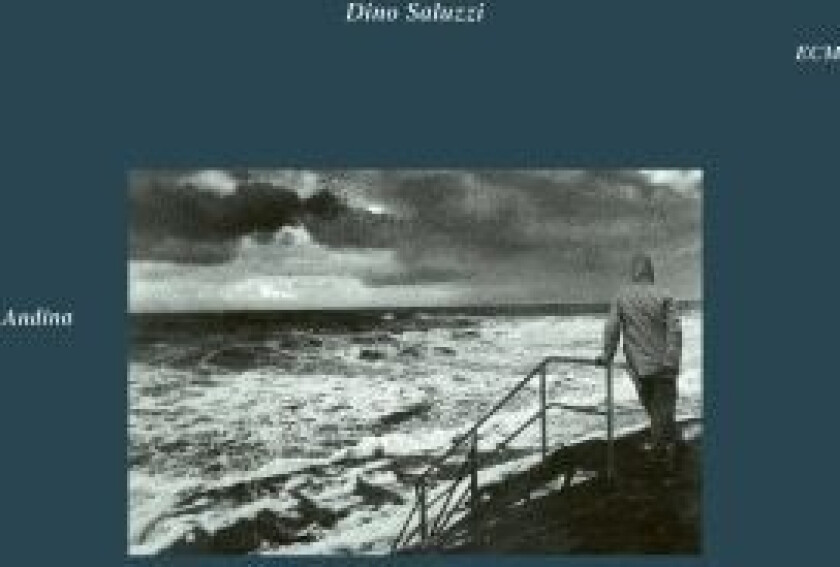 Saluzzi Dino - Andina