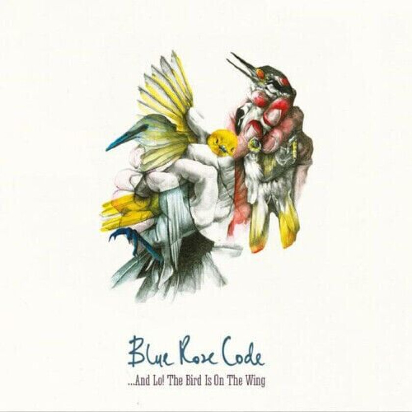 Blue Rose Code : And Lo The Bird Is On the Wing CD (2016)