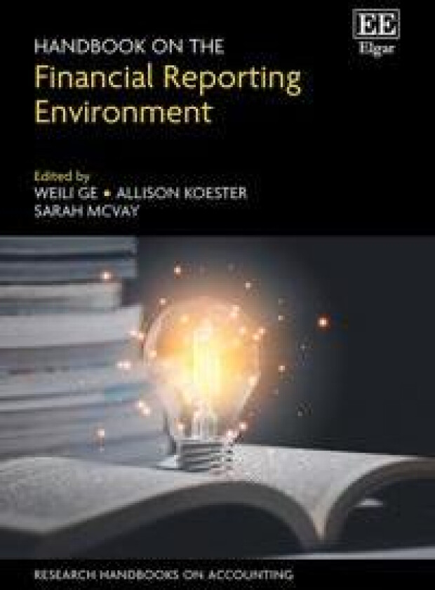Handbook on the Financial Reporting Environment