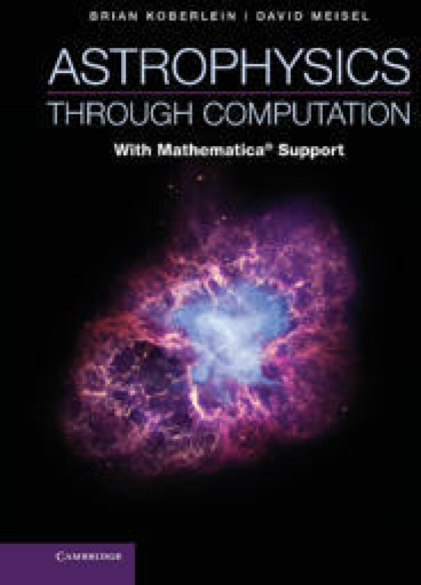 Astrophysics through Computation