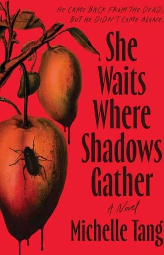 She Waits Where Shadows Gather A Novel