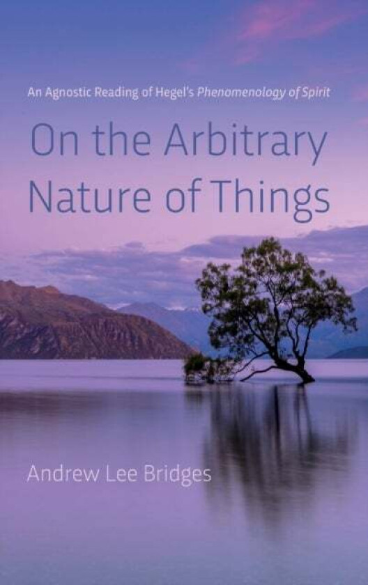 On the Arbitrary Nature of Things av Andrew Lee Bridges