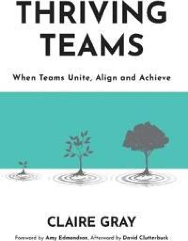 Thriving Teams