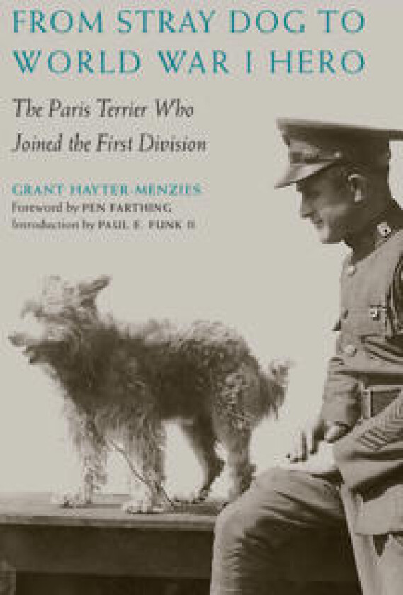 From Stray Dog to World War I Hero