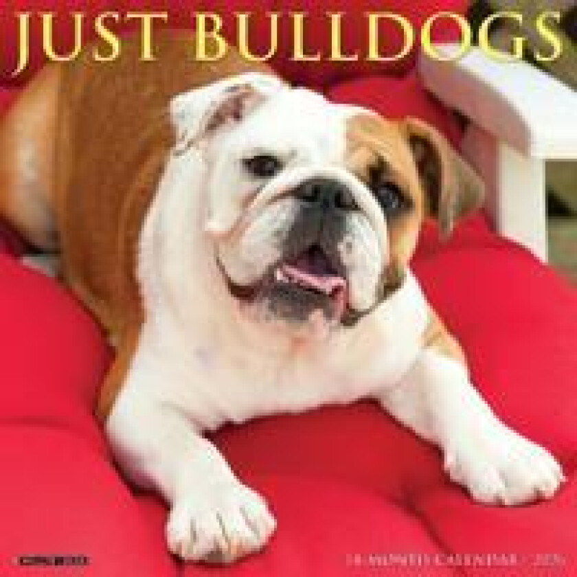 Bulldogs 2026 Wall Calendar