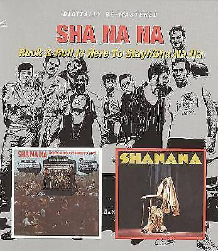 Rock & Roll Is Here To Stay/Sha Na Na CD