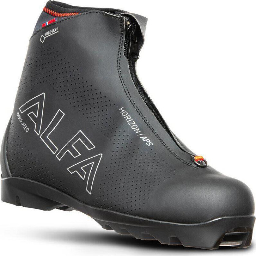 Bilde av Horizon A/P/S GTX Black 41