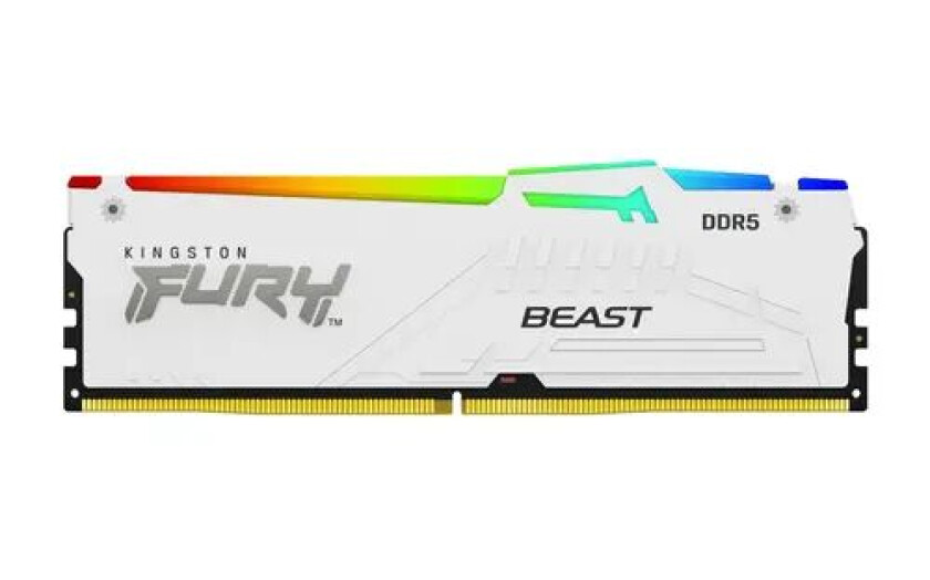 Fury Beast 32gb Ddr5 5600 Cl36 Rgb White 32gb 5,600mhz Cl36 Ddr5 Sdram Dimm 288-pin