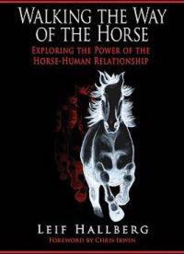 Walking the Way of the Horse