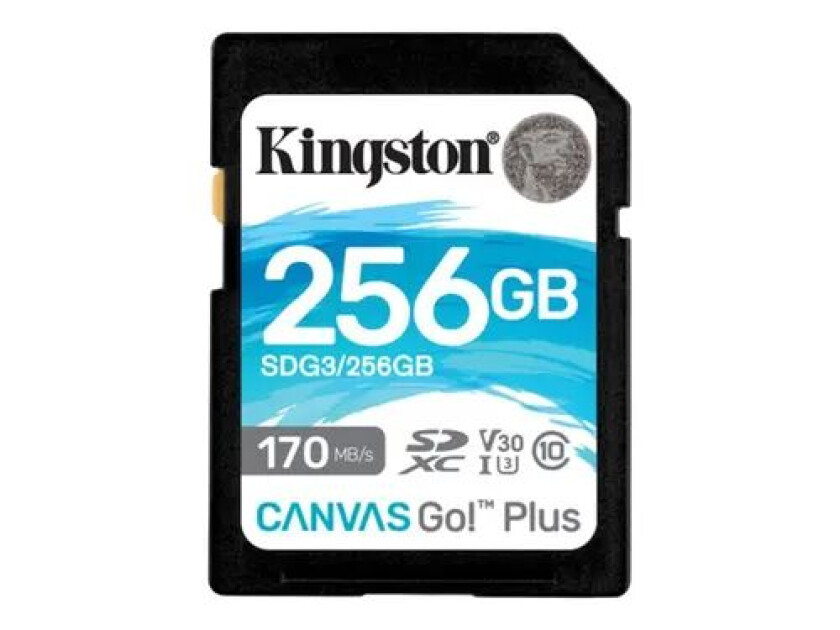 Canvas Go! Plus 256gb Sdxc Uhs-i Memory Card