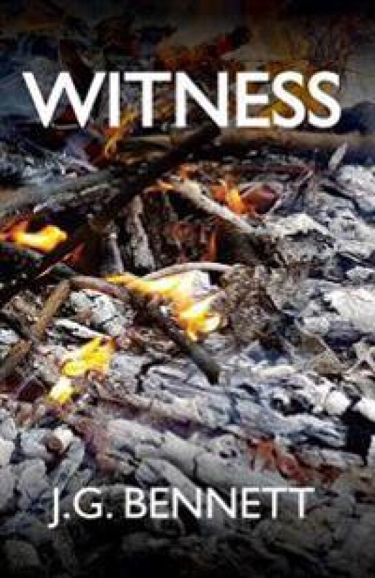 Witness: The Story of a Search