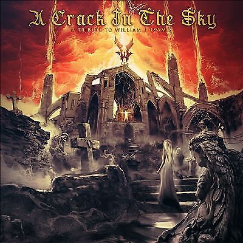 Various Artists : A Crack In The Sky - A Tribute To Willia CD