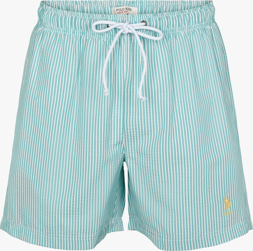 Briggs Swimshorts - Blå - Herre - Shorts - Badeshorts