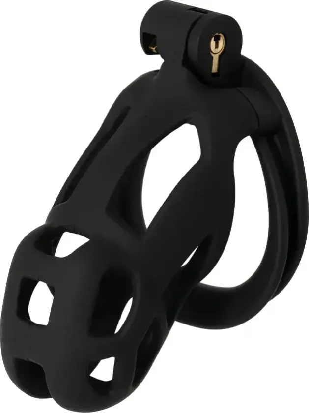 Penis Prison Cock Cage Regular