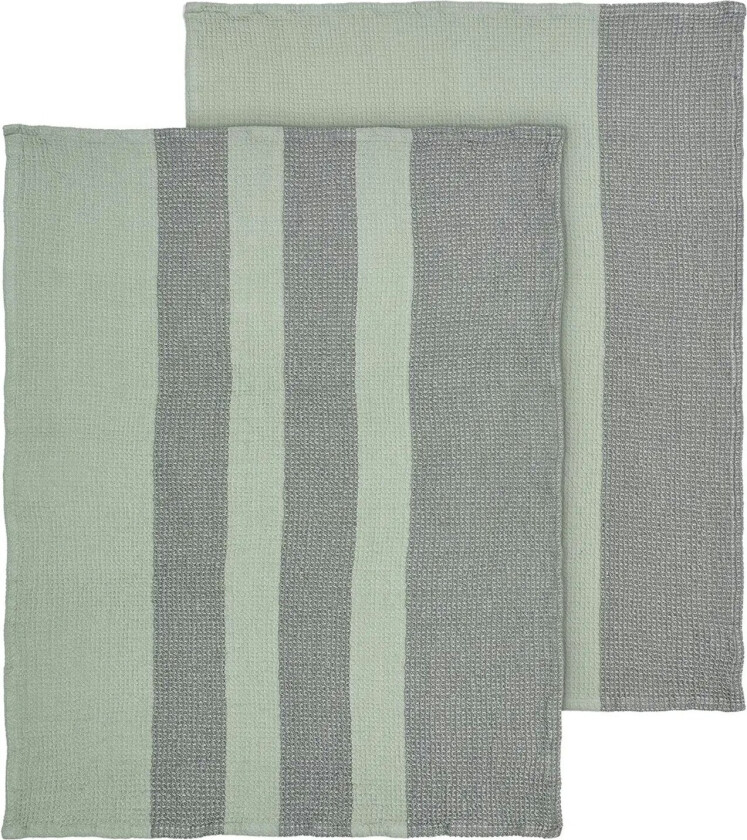 Gano Kjøkkenhåndkle 50x70 Cm 2-pk - Kjøkkenhåndklær Bomull Desert Sage - 64564