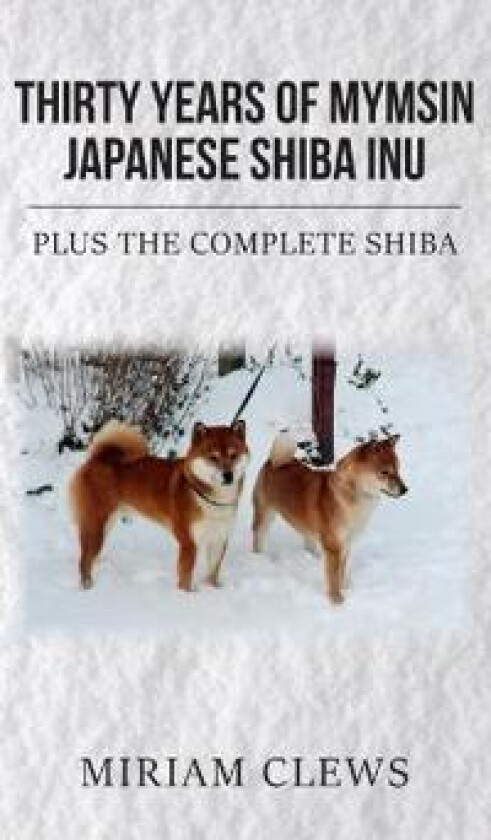 Thirty Years of Mymsin Japanese Shiba Inu