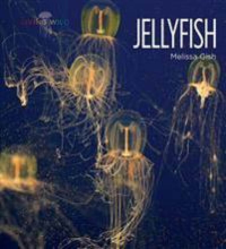 Jellyfish - Gish, Melissa