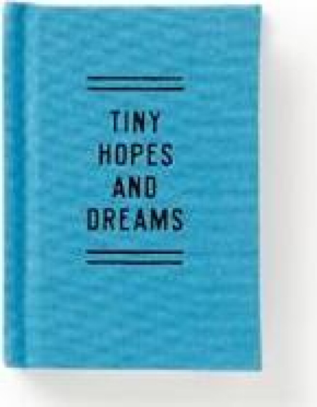 Tiny Hopes and Dreams Tiny Diary