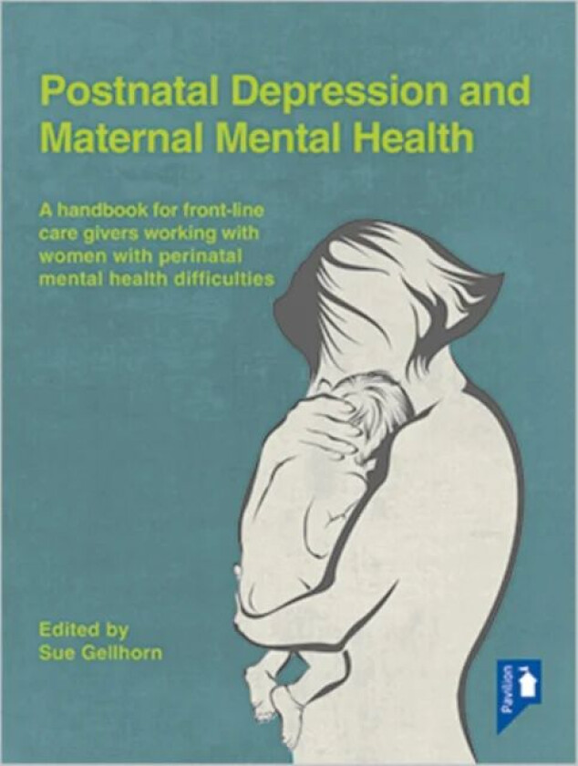 Postnatal Depression and Maternal Mental Health av Sue Gellhorn