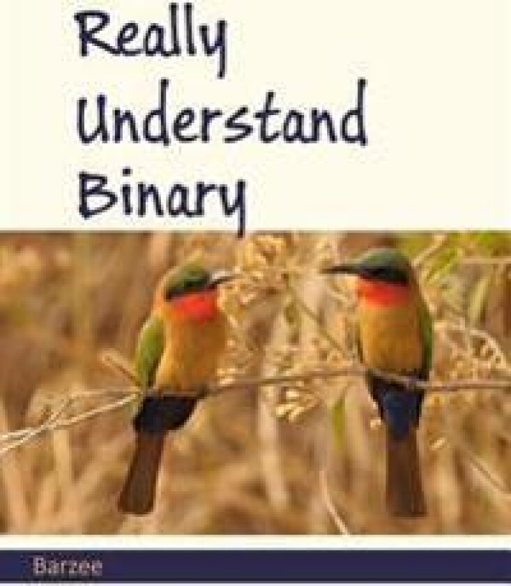 Really Understand Binary