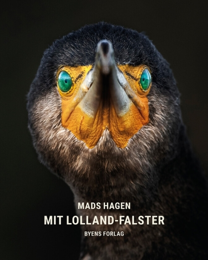 Mit Lolland-Falster | Mads Hagen | Språk: Dansk