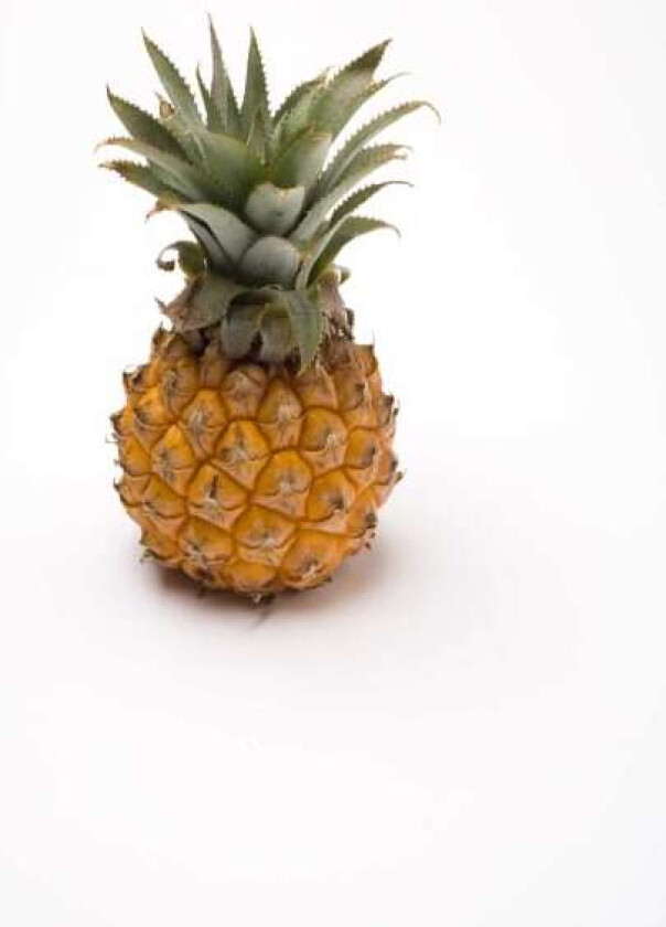 Ananas Mini stykk