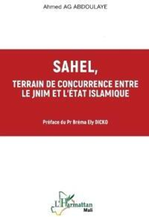 Sahel, terrain de concurrence entre le JNIM et l'Etat Islamique