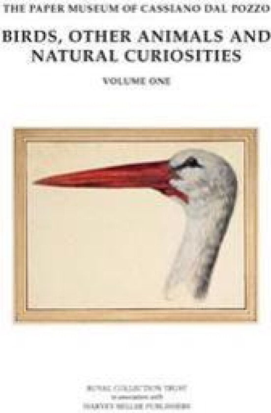 Birds, Other Animals and Natural Curiosities