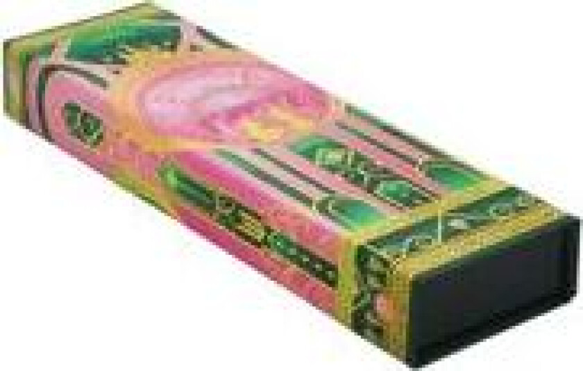 The Magic of Wicked (Wicked Collection) Pencil Case