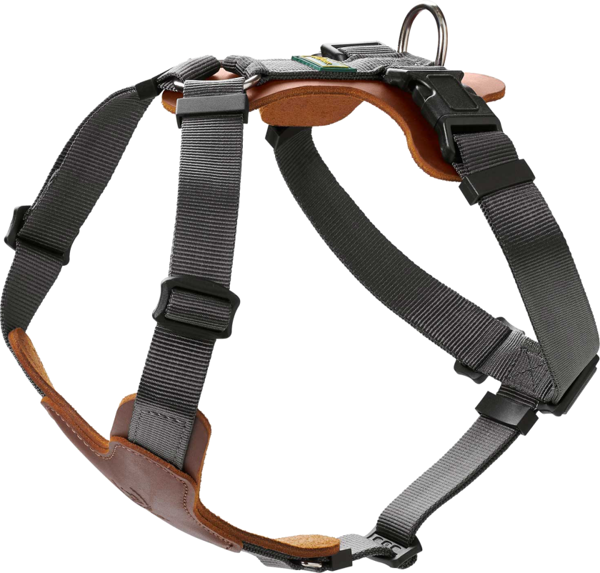 Dog Harness Mixed Aalborg Cognac XS-S Chest 38-51cm - Hund - Halsbånd og seler - Sele til hund - Hunter