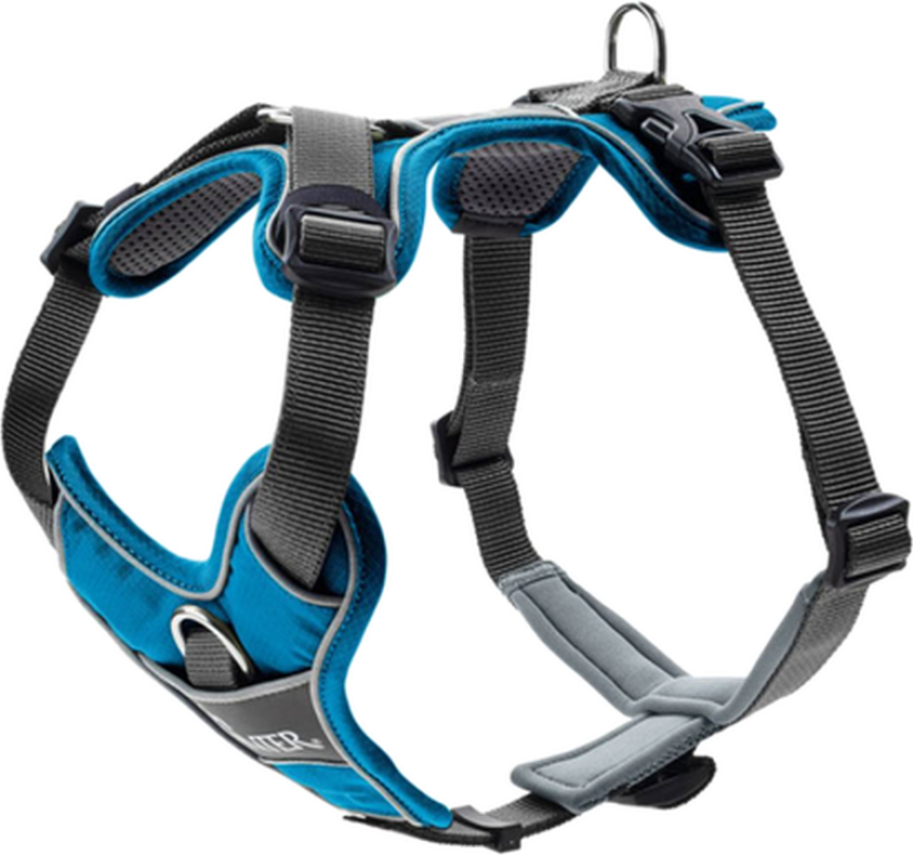 Dog Harness Divo Blue Small - Hund - Halsbånd og seler - Sele til hund - Hunter