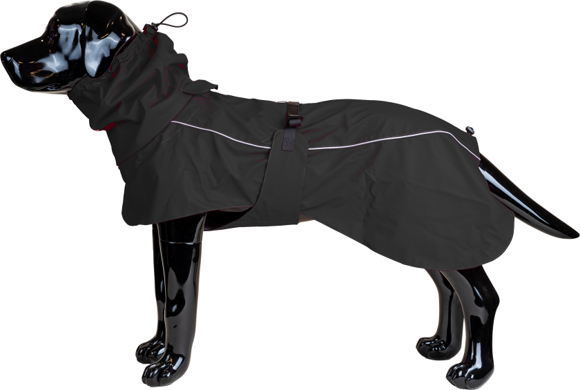 Regnskjerm Drop, 4XL, 65 cm, svart - Hund - Klær og dekken - Dekken - Selected by ZOO