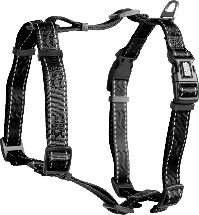 Sele Rufus H-sele justerbar L/XL 25 mm x 100 cm Svart - Hund - Halsbånd og seler - Sele til hund - Selected by ZOO