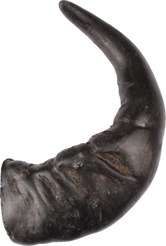 Dog Nature Snack Buffalo Horn Large 1-pakning - Hund - Hundesnacks - Flamingo